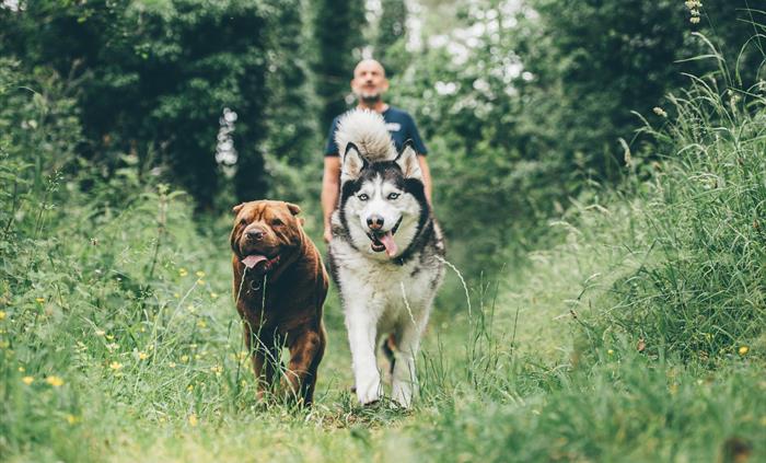 Dog Friendly